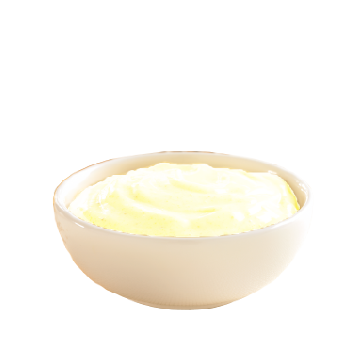 Garlic Dip Sauce